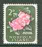 Norfolk Island 1960 Lagunaria 2d (from 1960 def set) superb used with light corner cds cancel SG 25