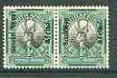 South West Africa 1926 Springbok horiz bi-lingual pair opt'd, unmounted mint SG 41