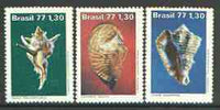 Brazil 1977 Molluscs set of 3 unmounted mint, SG 1666-68