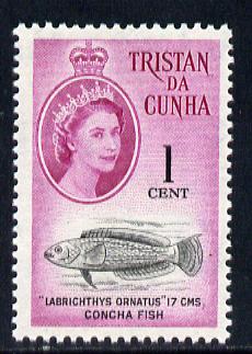 Tristan da Cunha 1961 Wrasse 1c from def set unmounted mint, SG 43