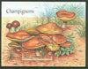 Togo 2000 Fungi perf m/sheet very fine cto used