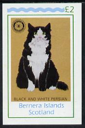 Bernera 1984 Rotary (Black & White Persian Cat) imperf deluxe sheet (£2 value) unmounted mint