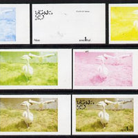 Oman 1977 Birds #2 1R (Pelican) set of 7 imperf progressive colour proofs comprising the 4 individual colours plus 2, 3 and all 4-colour composites unmounted mint