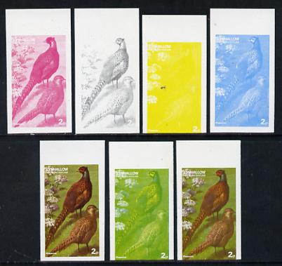 Eynhallow 1977 Birds #01 Pheasants 2p set of 7 imperf progressive colour proofs comprising the 4 individual colours plus 2, 3 and all 4-colour composites unmounted mint