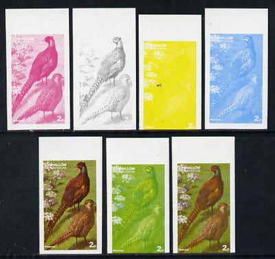 Eynhallow 1977 Birds #01 Pheasants 2p set of 7 imperf progressive colour proofs comprising the 4 individual colours plus 2, 3 and all 4-colour composites unmounted mint