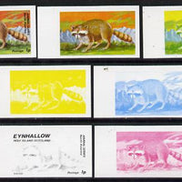 Eynhallow 1977 North American Animals 1p (Racoon) set of 7 imperf progressive colour proofs comprising the 4 individual colours plus 2, 3 and all 4-colour composites unmounted mint