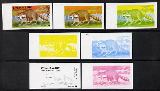 Eynhallow 1977 North American Animals 1p (Racoon) set of 7 imperf progressive colour proofs comprising the 4 individual colours plus 2, 3 and all 4-colour composites unmounted mint