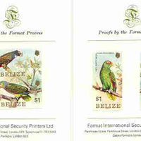 Belize 1984 Parrots set of 4 imperf proofs mounted on two Format International proof cards