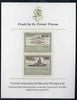 St Vincent - Bequia 1985 Warships of World War 2, $1.50 USS Nevada imperf se-tenant proof pair mounted on Format International proof card