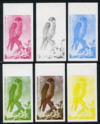 Staffa 1977 Birds of Prey #01 Hobby 2.5p set of 6 imperf progressive colour proofs comprising the 4 individual colours plus 2 and all 4-colour composites unmounted mint