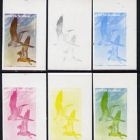 Staffa 1977 Birds of Prey #01 Montagus Harrier 7.5p set of 6 imperf progressive colour proofs comprising the 4 individual colours plus 2 and all 4-colour composites unmounted mint
