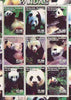Comoro Islands 2000 Pandas perf sheetlet containing complete set of 9 values unmounted mint