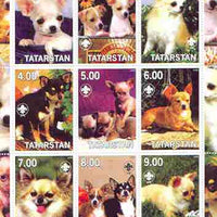 Tatarstan Republic 2000 Dogs (Chihuahua) perf sheetlet containing complete set of 9 values, each with Scout logo unmounted mint