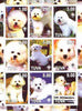 Touva 2000 Dogs (Bichon Frisé) perf sheetlet containing complete set of 9 values, each with Scout logo unmounted mint