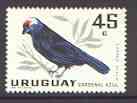 Uruguay 1962 Diademed Tanager 45c unmounted mint, SG 1210*