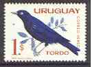 Uruguay 1962 Common Cowbird 1p unmounted mint, SG 1212*