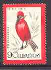 Uruguay 1962 Vermilion Flycatcher 90c unmounted mint, SG 1211*