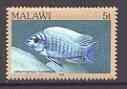 Malawi 1984 Blue Mbuna 5t from fish def set unmounted mint, SG 690*