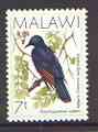 Malawi 1988 Red-Winged Starling 7t from birds def set unmounted mint, SG 792*