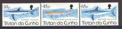 Tristan da Cunha 1994 Sharks set of 3 unmounted mint, SG 569-71*