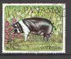 Panama 1967 black & white pig 5c fine used, from Domestic Animals set of 8, SG 938 (tete-beche pairs price x 2)