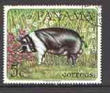 Panama 1967 black & white pig 5c fine used, from Domestic Animals set of 8, SG 938 (tete-beche pairs price x 2)