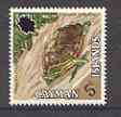 Cayman Islands 1971 Grand Cayman Terrapin 5c unmounted mint, SG 294*