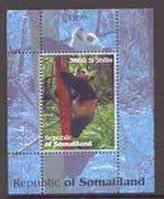 Somaliland 1999 Pandas perf souvenir sheet unmounted mint