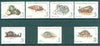 Madagascar 1993 Molluscs complete set of 7 unmounted mint, SG 1100-06*