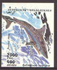 Madagascar 1993 Sharks imperf m/sheet unmounted mint SG MS 1115