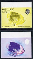 Belize 1984-88 Rock Beauty $10 def imperf progressive marginal proofs in red & blue and yellow & black, 2 proofs unmounted mint as SG 781
