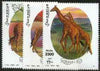 Somalia 2000 Giraffes perf set of 3 unmounted mint Michel 808-10*