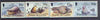 Tristan da Cunha 1995 Seals set of 4 unmounted mint SG 586-89