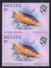 Belize 1984-88 Hogfish 5c def in unmounted mint imperf pair (SG 770)