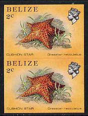 Belize 1984-88 Cushion Star 2c def in unmounted mint imperf pair (SG 767)