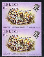 Belize 1984-88 Sea (Lettuce) Slug $2 def in unmounted mint imperf pair (SG 779)