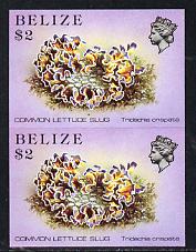 Belize 1984-88 Sea (Lettuce) Slug $2 def in unmounted mint imperf pair (SG 779)