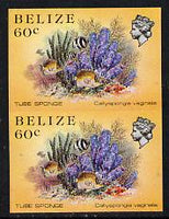 Belize 1984-88 Tube Sponge 60c def in unmounted mint imperf pair (SG 776)