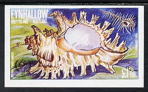 Eynhallow 1979 Shells (Year of the Child) £1 imperf souvenir sheet (Murex) unmounted mint