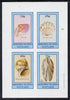Bernera 1981 Shells (Thin Tellin, Scallop, Necklace Shell & File Shell) imperf set of 4 values (10p to 75p) unmounted mint