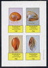 Eynhallow 1981 Shells (Cyclope Neritea etc) imperf set of 4 values (10p to 75p) unmounted mint