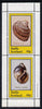 Staffa 1981 Shells (Cockle) perf set of 2 values (40p & 60p) unmounted mint