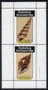 Eynhallow 1982 Shells (Screw Shell) perf set of 2 values (40p & 60p) unmounted mint