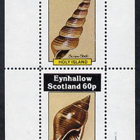 Eynhallow 1982 Shells (Screw Shell) perf set of 2 values (40p & 60p) unmounted mint