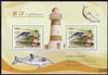 North Korea 2009 Lighthouses #4a New Zealand - Cape Palliser perf s/sheet containing 2 values unmounted mint