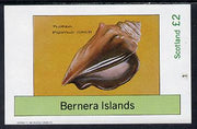 Bernera 1982 Shells (Florida Fighting Conch) imperf deluxe sheet (£2 value) unmounted mint