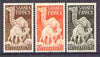 Spanish Sahara 1951 Colonial Stamp Day (Dromedary & Calf) set of 3 unmounted mint, SG 88-90*