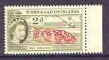 Turks & Caicos Islands 1957 Red Grouper 2d from def set unmounted mint, SG 239*