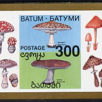 Batum 1994 Fungi imperf s/sheet unmounted mint