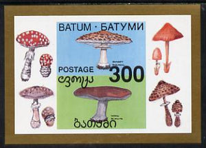 Batum 1994 Fungi imperf s/sheet unmounted mint